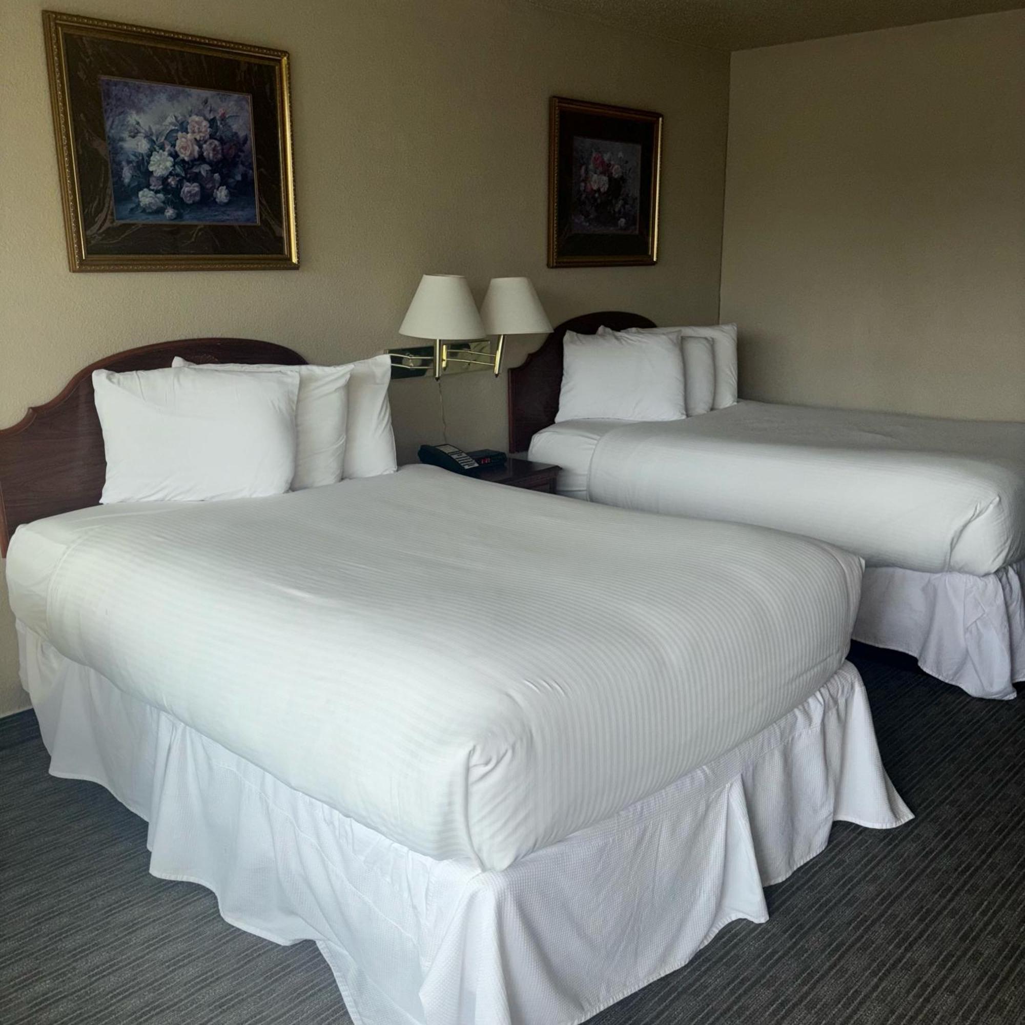 Unique Suites Hotel Charleston Exteriör bild